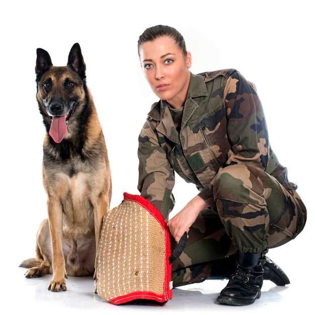 Woman soldier and German Shepherd