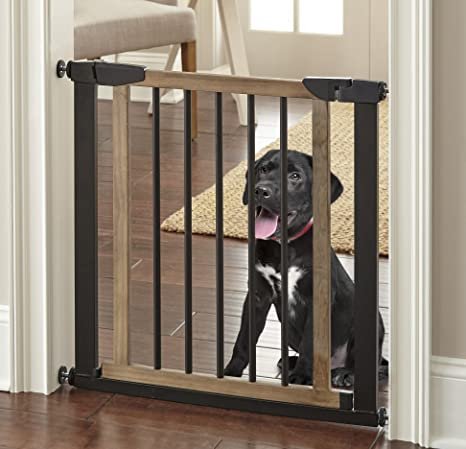 Baby Gates for Dogs