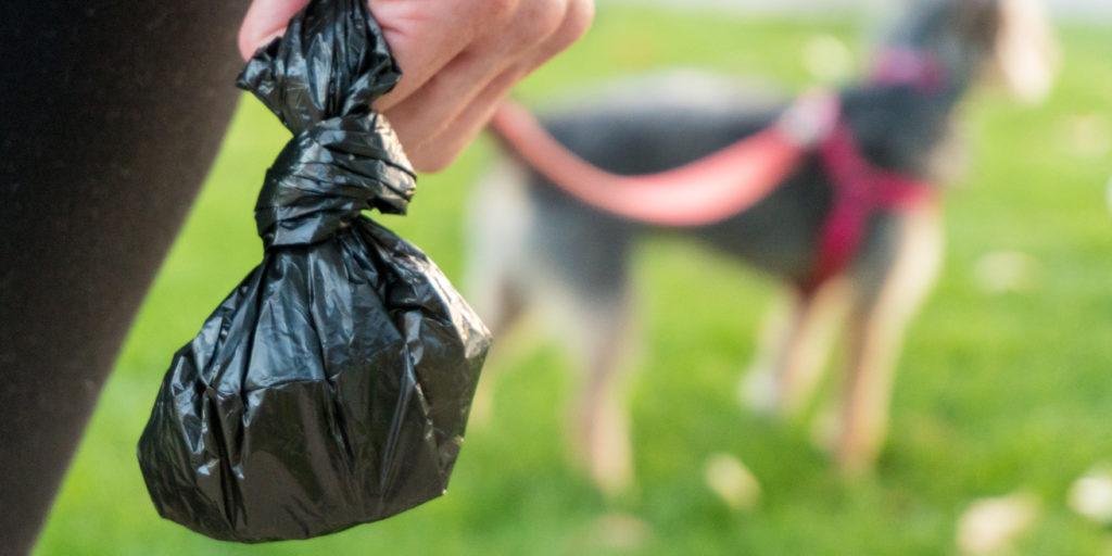 plastic bag for dog poop