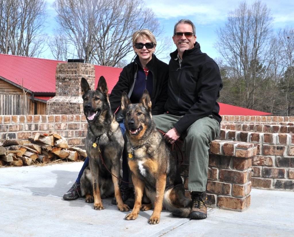 Will German shepherds protect if not trained? Quick Thoughts