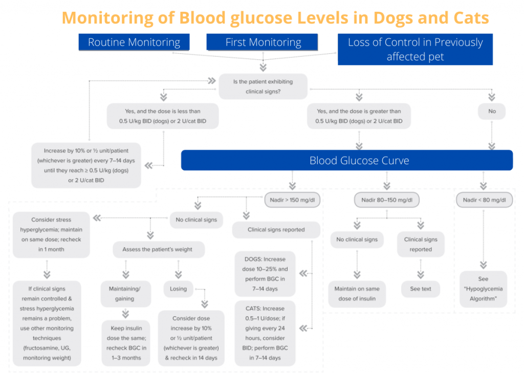 Monitoring Blood Glucose levels in dogs chart