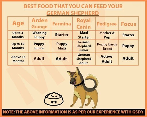 Gsd puppy 2025 food chart