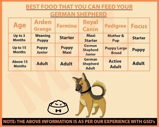 German Shepherd Food Chart
