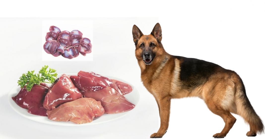 chicken liver recipe for dogs