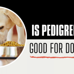 Is Pedigree Good for Dogs? Especially large breed dogs