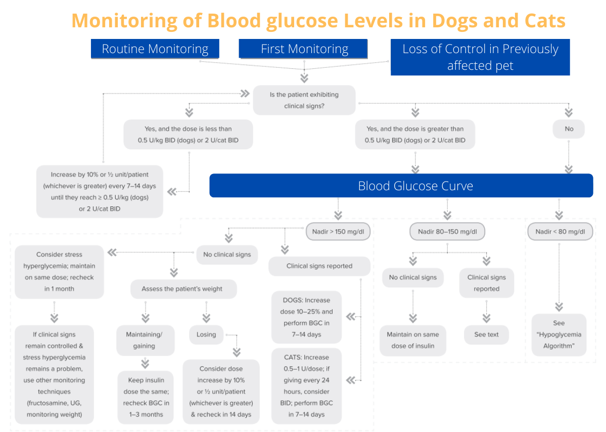 Insulin Shots for Dogs that are suffering from Diabetes