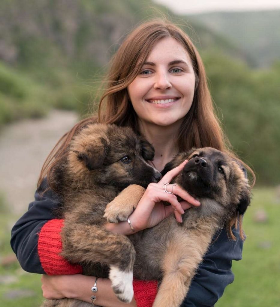 German Shepherd Puppy