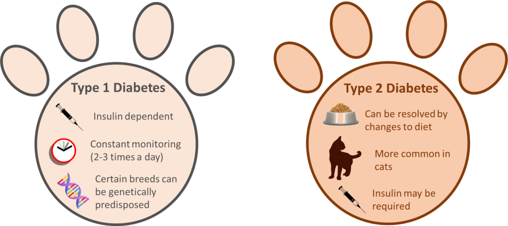 Types of Insulin Shots for Dogs