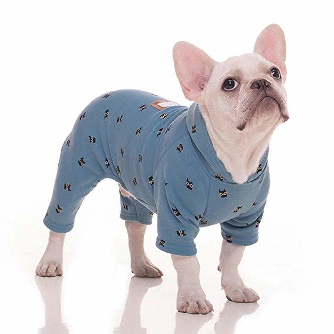 dog clothing