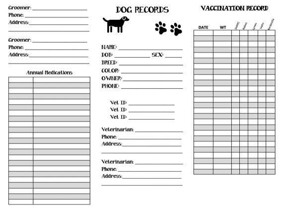 dog medical records