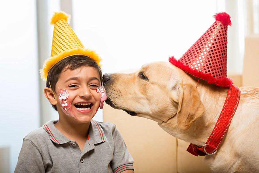 Dog Licking Ears