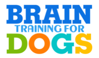 Best Online Dog Training Courses for 2024