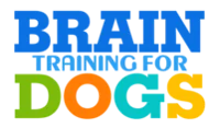 Best Online Dog Training Courses for 2024