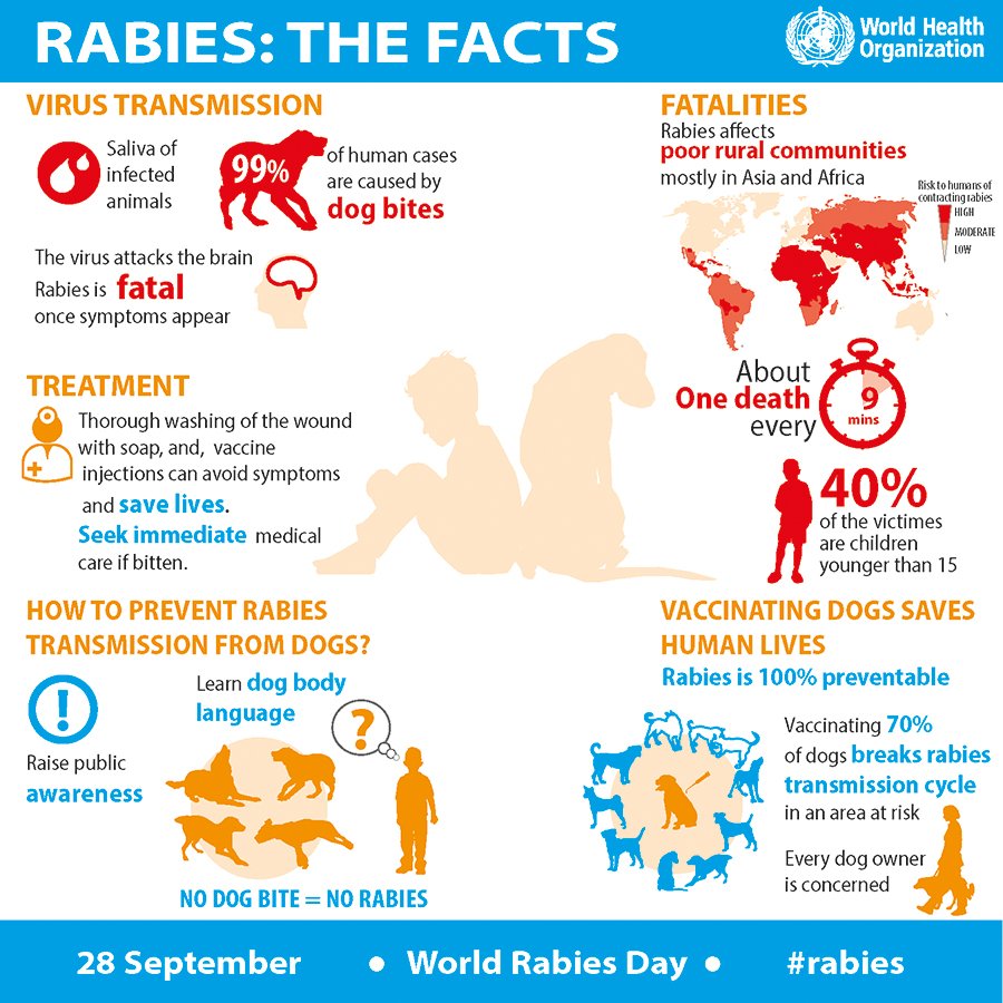 Rabies in Dogs: Does Your Dog Have Rabies? Early Signs