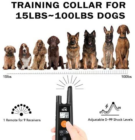 Dog Care Rechargeable Shock Collar
