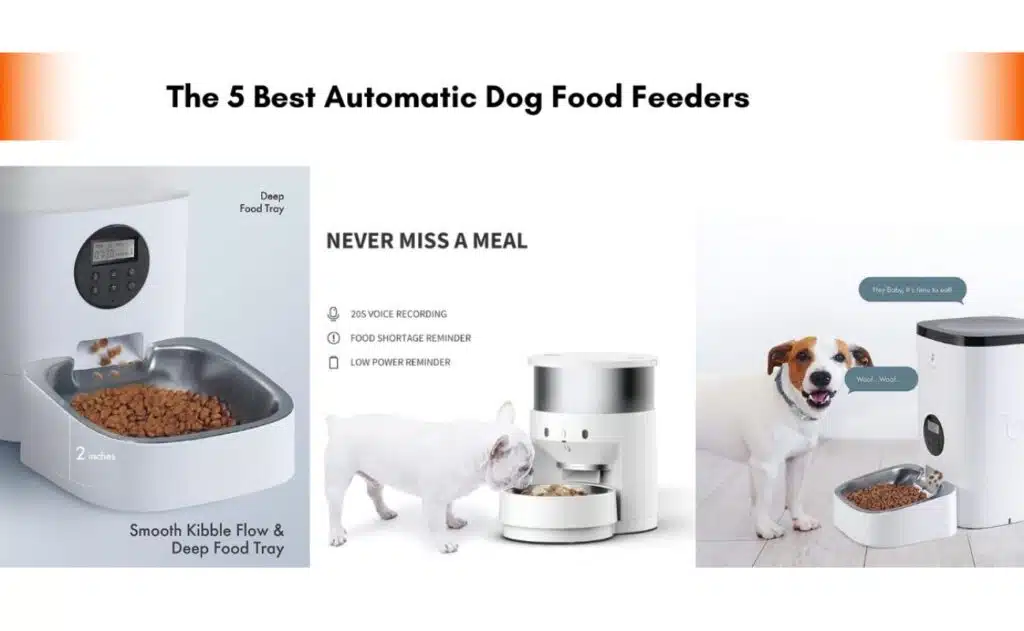 Automatic Dog Food Feeders