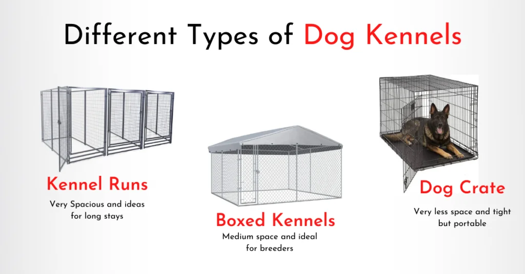 Outdoor Dog Kennels