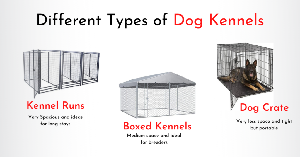 5 Best Outdoor Dog Kennels for German Shepherds