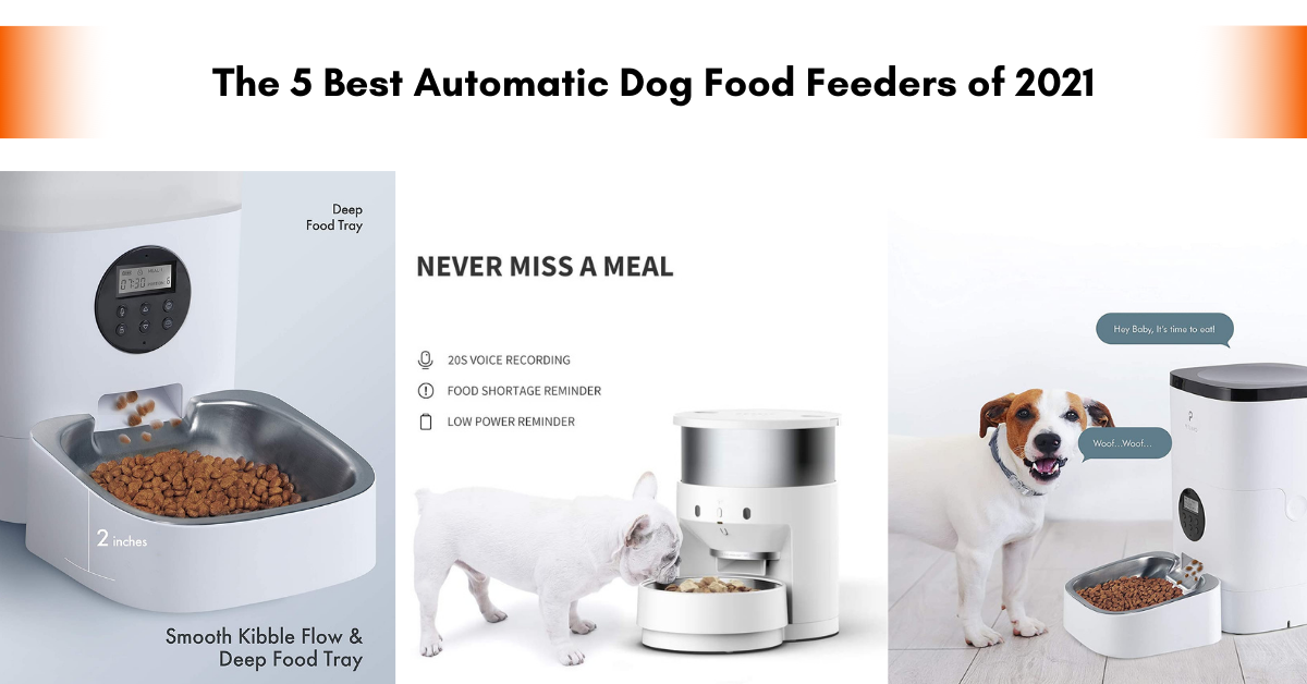 Automatic Dog Food Feeders