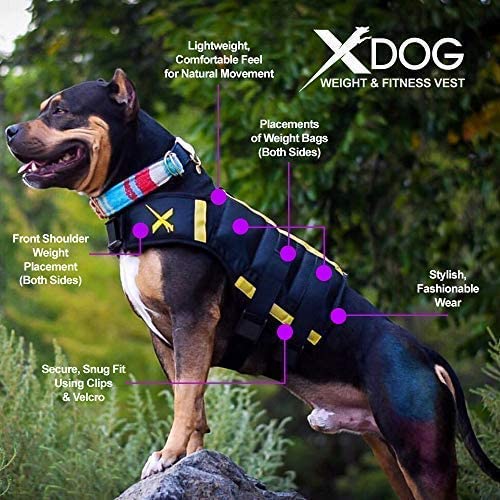 Weighted Dog Vest