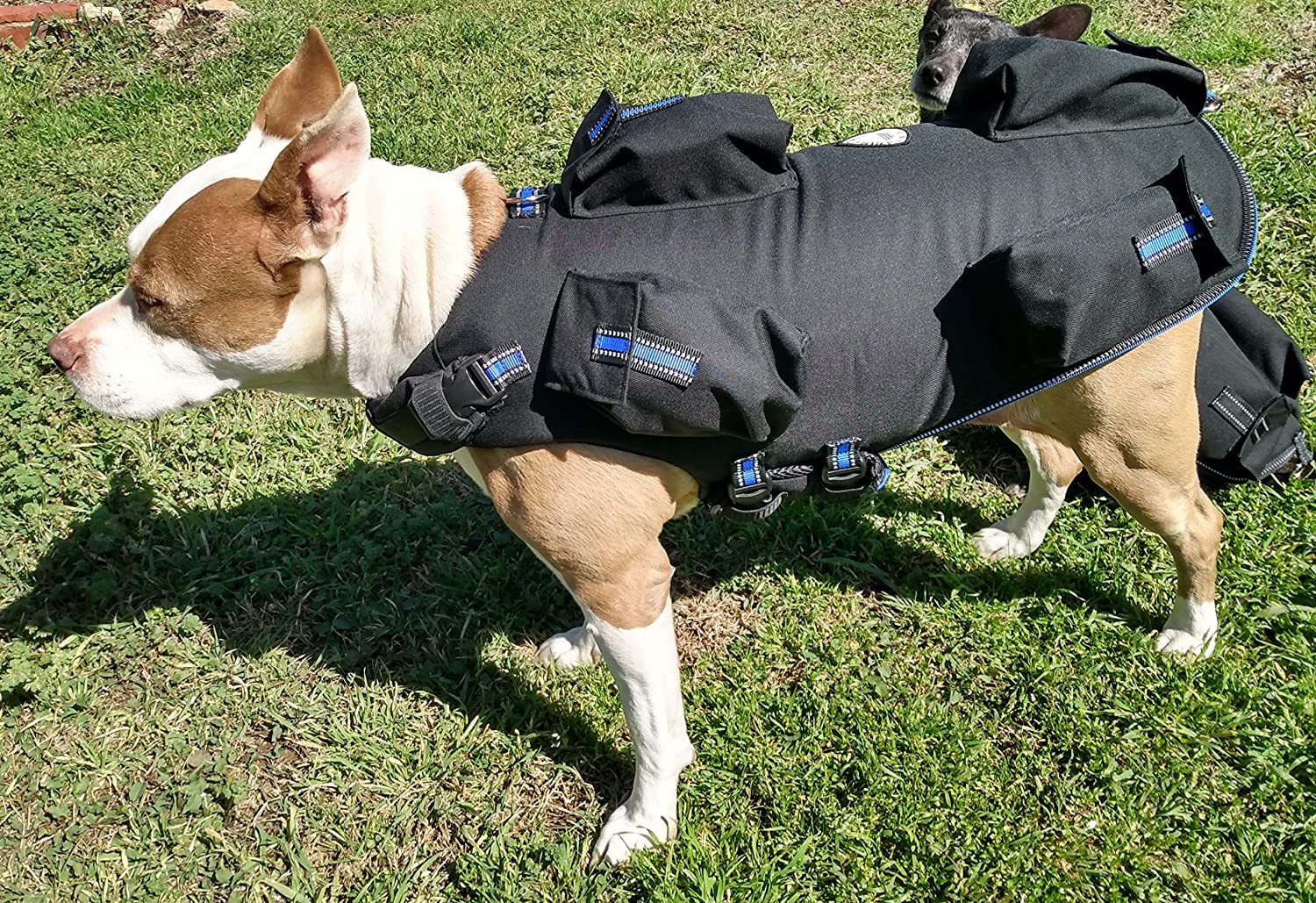 Weighted Vest for Dogs