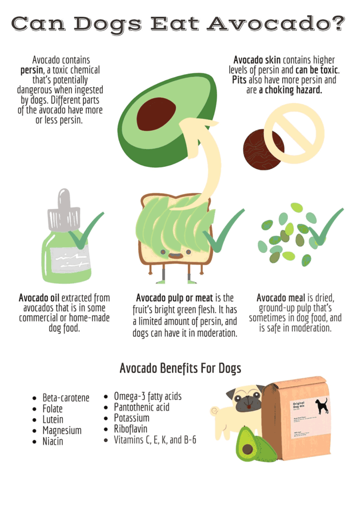 Can Dogs Eat Avocado Benefits And Risks Of Avocado For Dogs