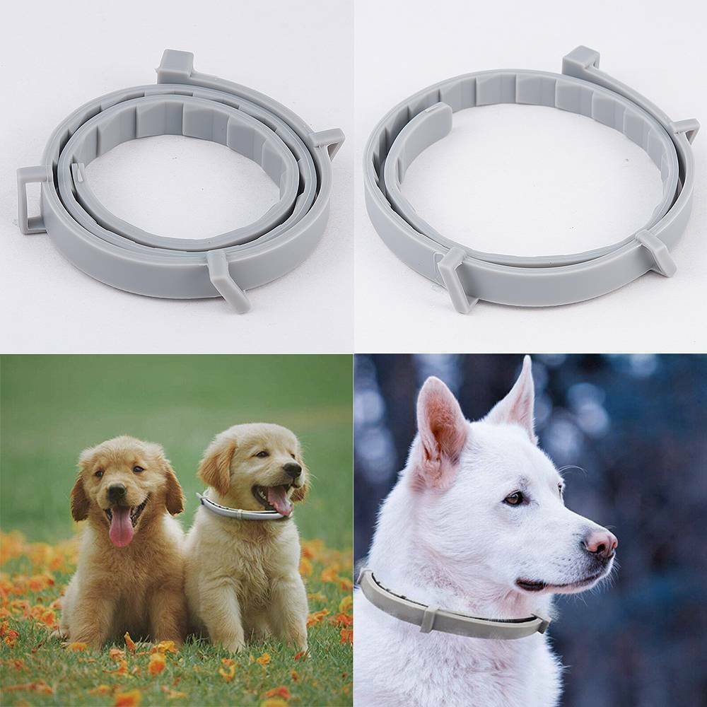 Flea and Tick collars