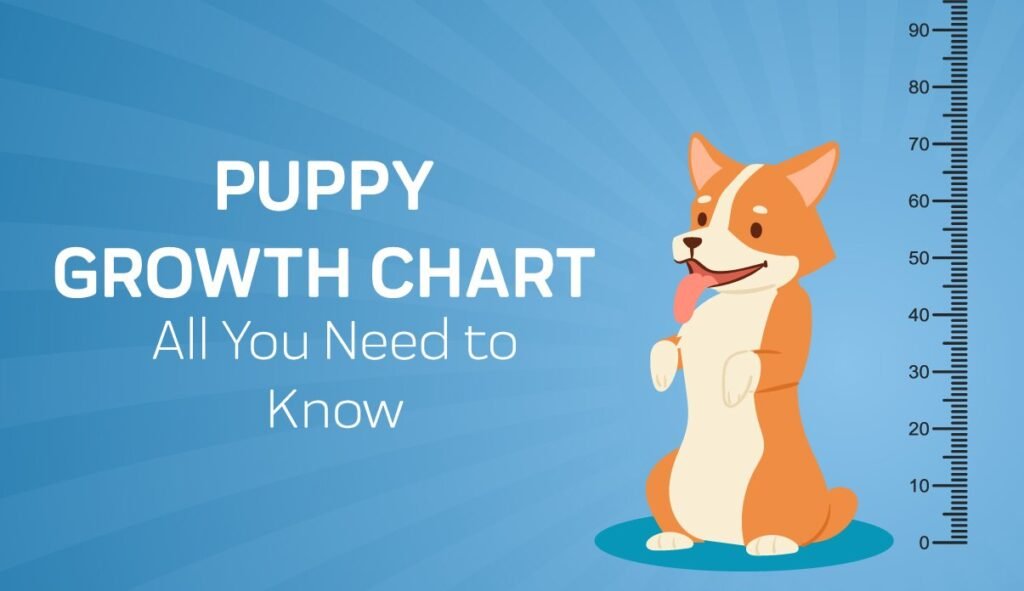 Puppy Growth Calculator