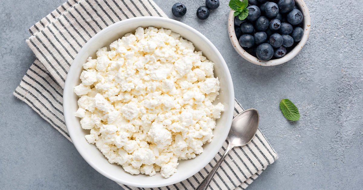 Cottage Cheese for Dogs How Much per Day is good for dogs?