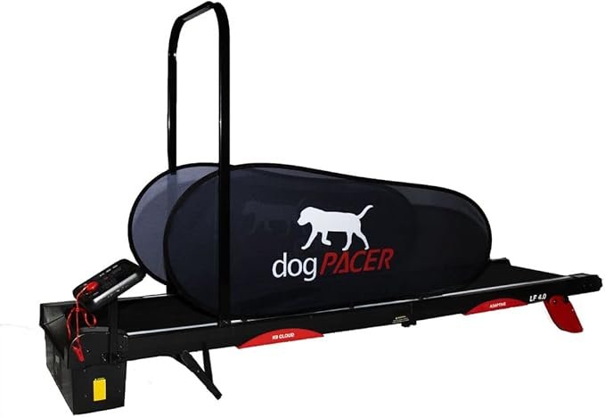 The Top 4 Dog Treadmills for Large Breeds: A Comprehensive Review for Pet Owners