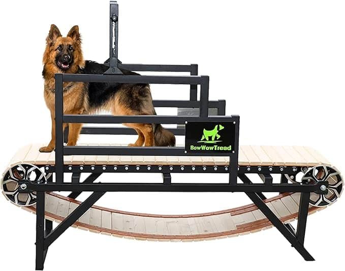 The Top 4 Dog Treadmills for Large Breeds: A Comprehensive Review for Pet Owners