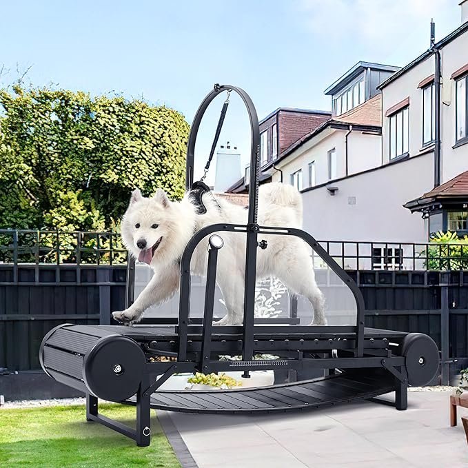 The Top 4 Dog Treadmills for Large Breeds: A Comprehensive Review for Pet Owners
