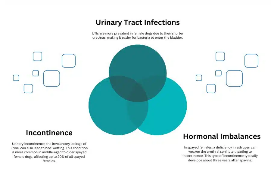 Medical Reasons for Bed-Wetting