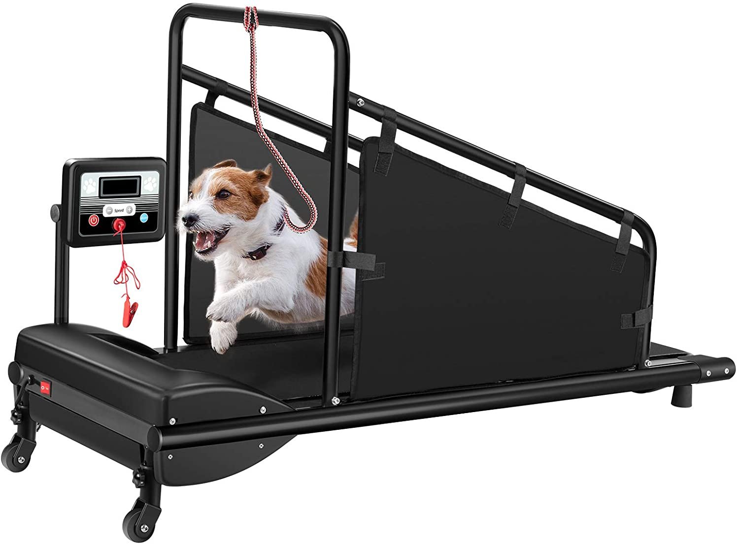 Best Dog Treadmills: In-door, Outdoor (Reviews & Guide) 