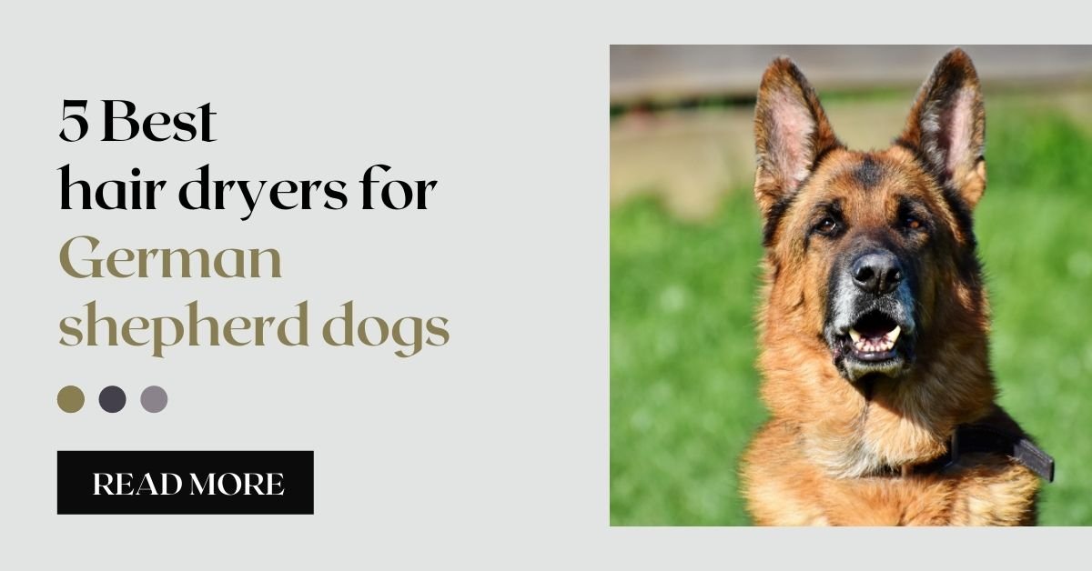 5 Best hair dryers for German shepherd dogs