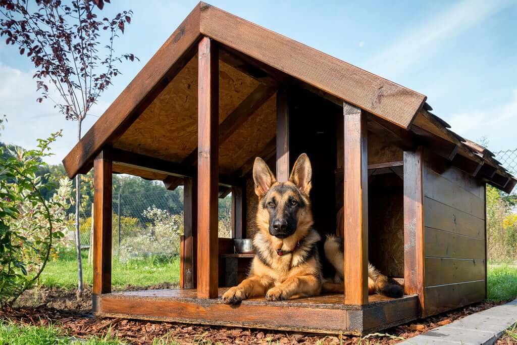 Dog House Heaters for Outdoor Kennels