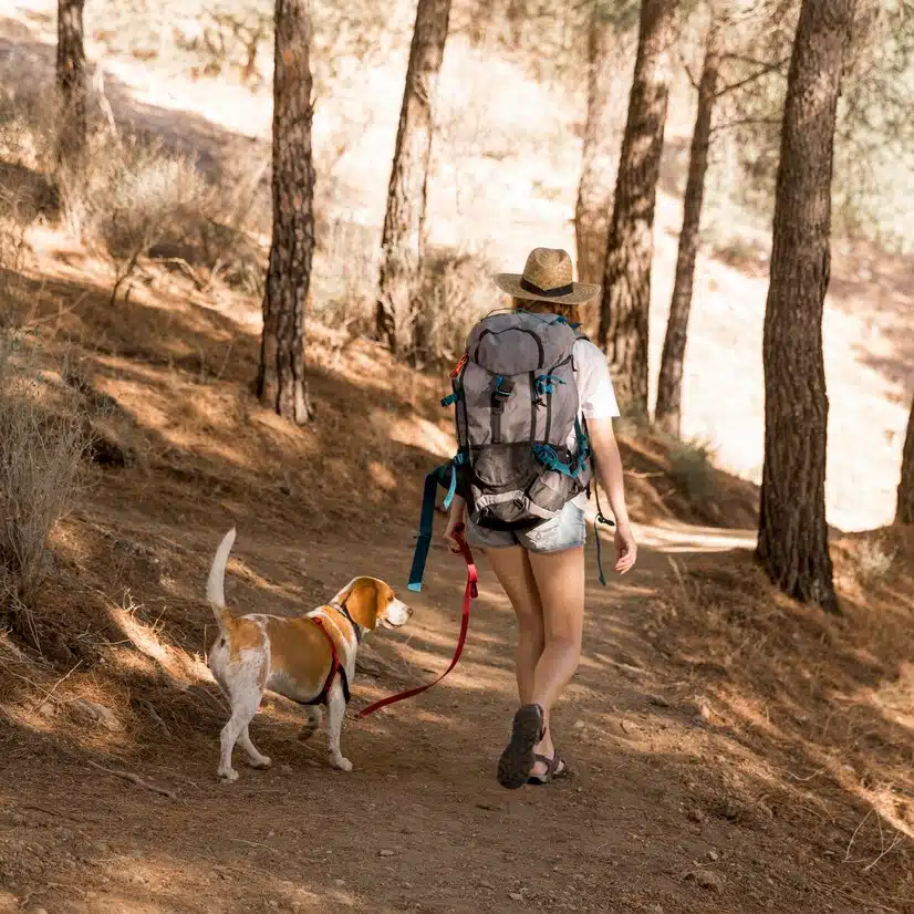 Hiking with Dog