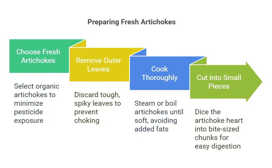 How to Safely Prepare Artichokes for Your Dog