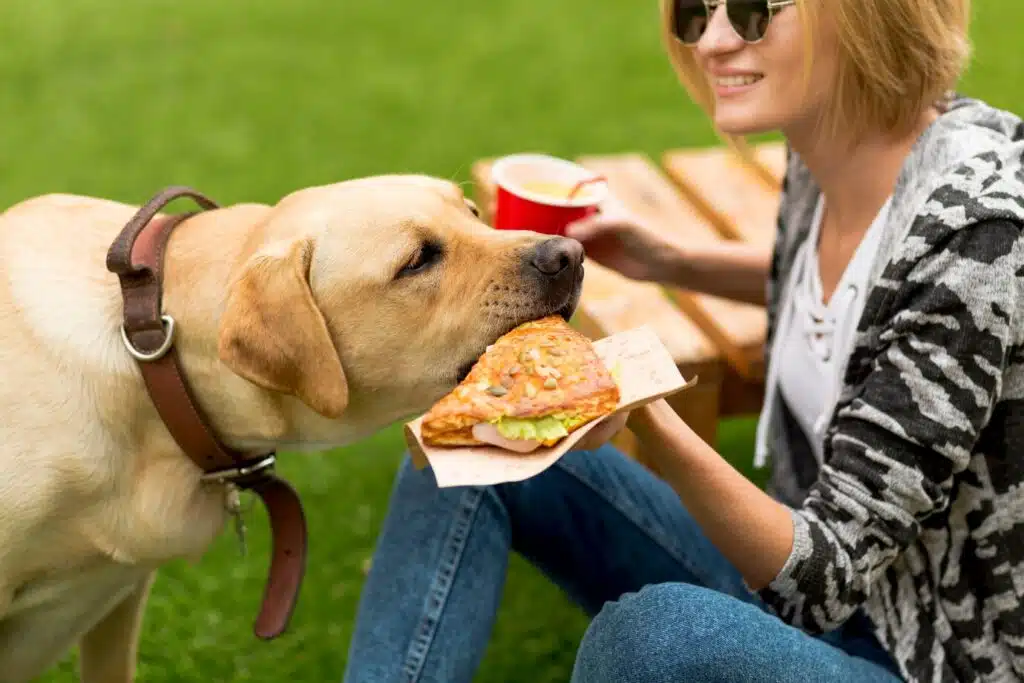 Short-term Effects of Sharing Fast Food with Dogs