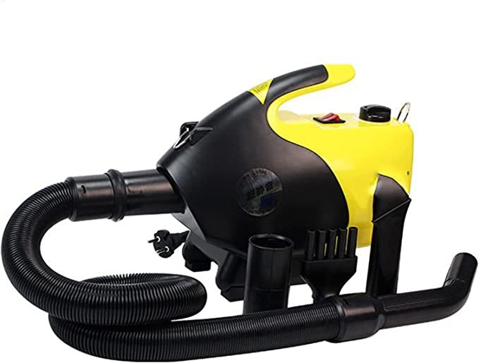 5 Best Hairdryers for Golden Retriever Dogs