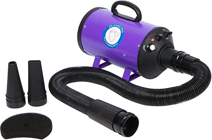 5 Best Hairdryers for Golden Retriever Dogs