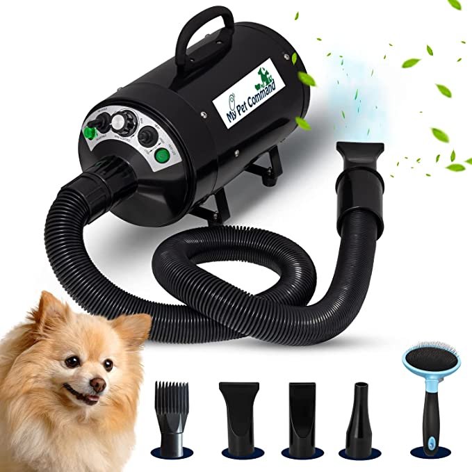 5 Best Hairdryers for Golden Retriever Dogs