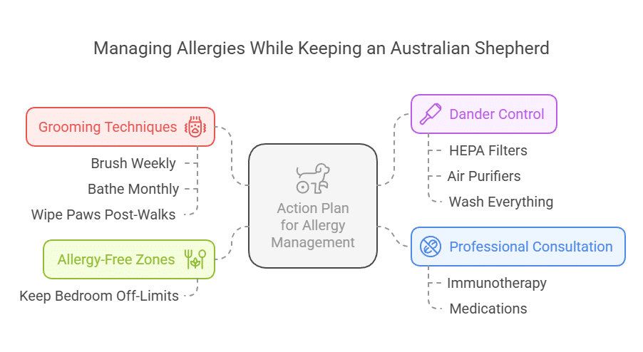 Managing Allergies While Keeping an Australian Shepherd