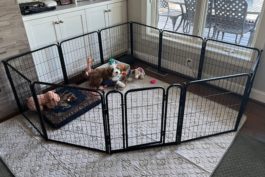 4 Best Dog Play Pens for Indoor Use in 2025