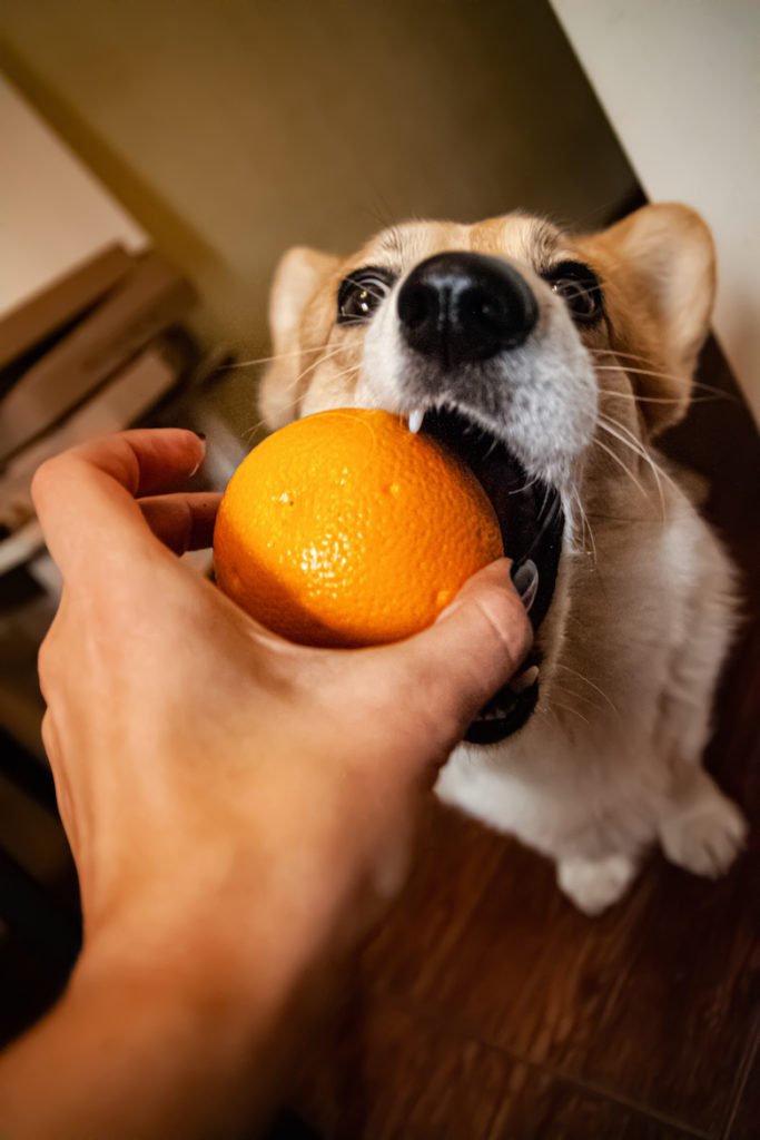 Orange peels