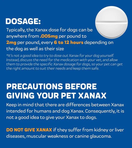 xanax for dog travel