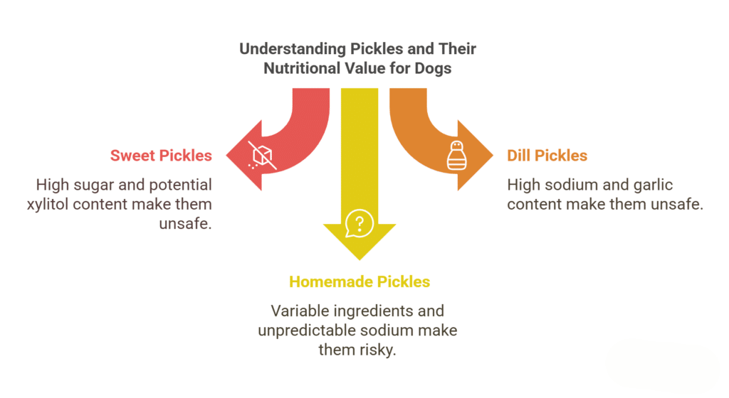 Understanding Pickles and Their Nutritional Value for Dogs