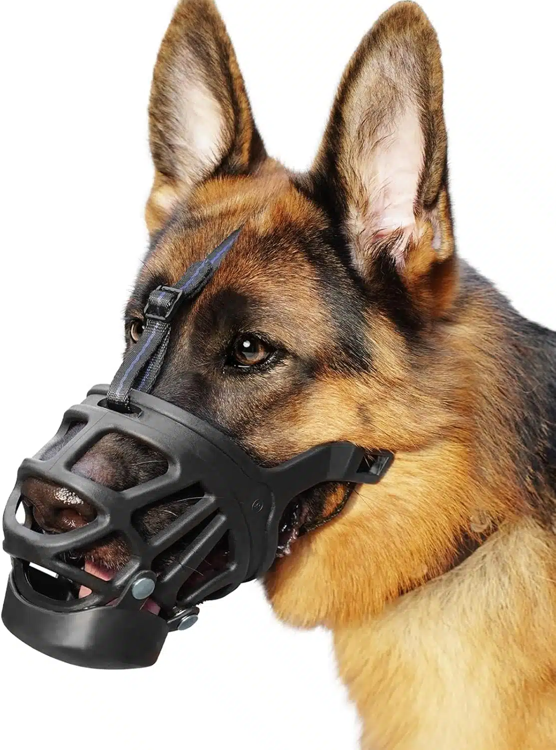 Best Muzzles for German Shepherd Dogs (2026 Buyer’s Guide – USA) Best Muzzles for German Shepherd Dogs (2026 Buyer’s Guide – USA)