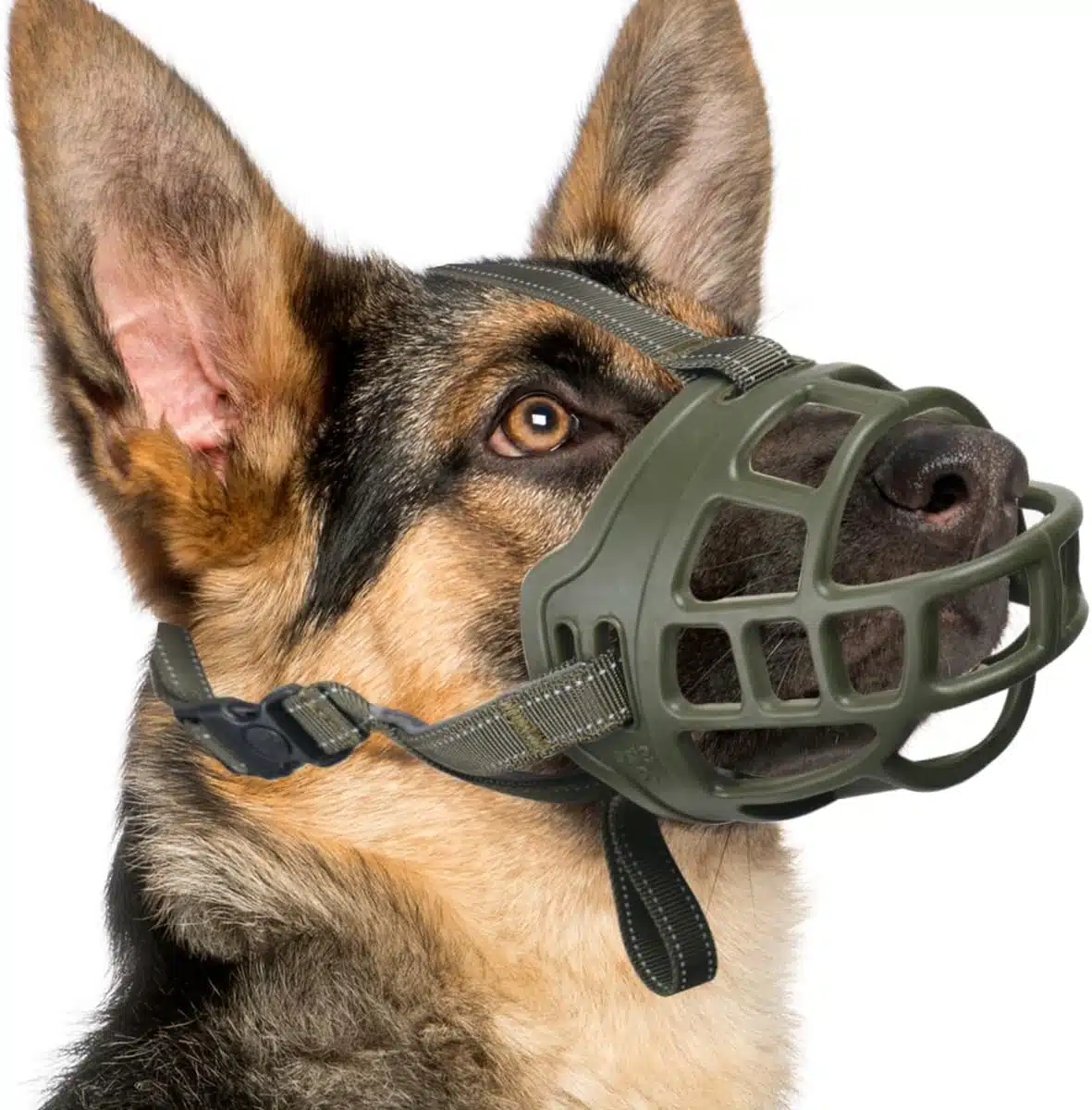 Best Muzzles for German Shepherd Dogs (2026 Buyer’s Guide – USA) Best Muzzles for German Shepherd Dogs (2026 Buyer’s Guide – USA)