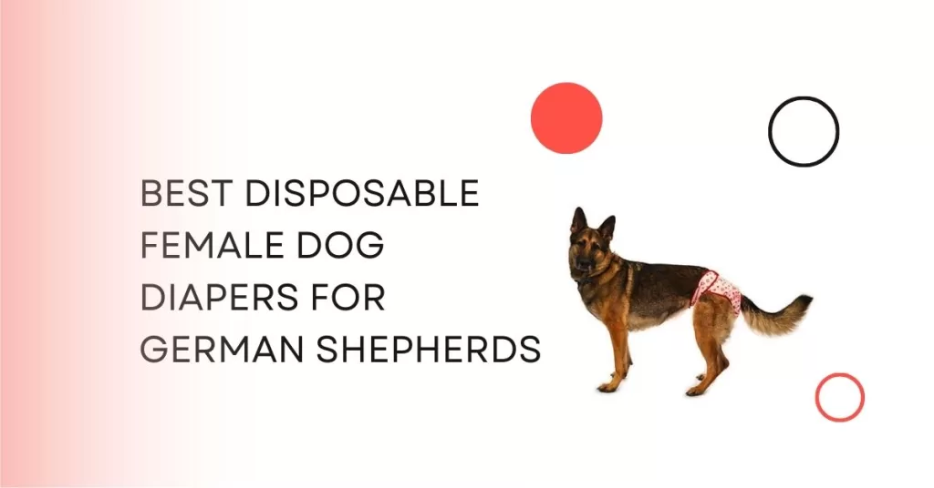 Disposable Female Dog Diapers